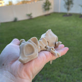 Bone Rat Articulating 3D Print Skeleton Rat-Create Fantasy Crafts