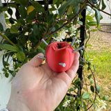 Pierced Apple Decor | Bookshelf Decor Bookish Merch