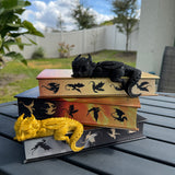 Sleeping Baby Dragon Bookshelf Decor Shelf Sitter