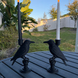 Raven Candle Stick Holder with Candle