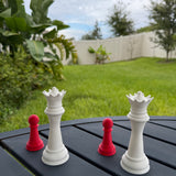 Queen and Pawn Chess Pieces | Bookshelf Decor