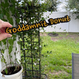 Donut Sign | Home Decor Bookshelf Decor