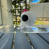 Love Me Stalk Me Skull Figure | Officially Licensed with Author Laura Bishop | Bookshelf Decor Bookish Merch