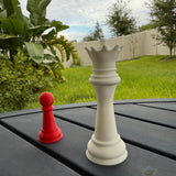 Queen and Pawn Chess Pieces | Bookshelf Decor