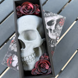 Skull Book Nook Book End Thin Version Bookshelf Decor-Create Fantasy Crafts