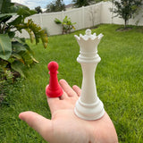 Queen and Pawn Chess Pieces | Bookshelf Decor