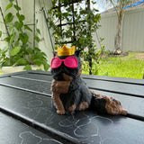 Princess Cat | figurine Home Decor Bookshelf Decor