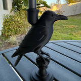 Raven Candle Stick Holder with Candle