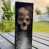 Skull Cave Book Nook | Decor | Hand Painted | Gothic | Horror |