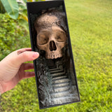 Skull Cave Book Nook | Decor | Hand Painted | Gothic | Horror |