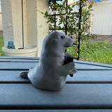 Bookshelf Seal