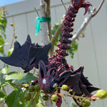3D Print Winged Bat Dragon Articulated Nightwing Dragon-Create Fantasy Crafts