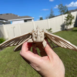 Skeleton Moth 3D Printed Customizable Color Bone Moth Halloween Gift Idea spooky desk decor-Create Fantasy Crafts
