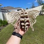 Skeleton Moth 3D Printed Customizable Color Bone Moth Halloween Gift Idea spooky desk decor-Create Fantasy Crafts