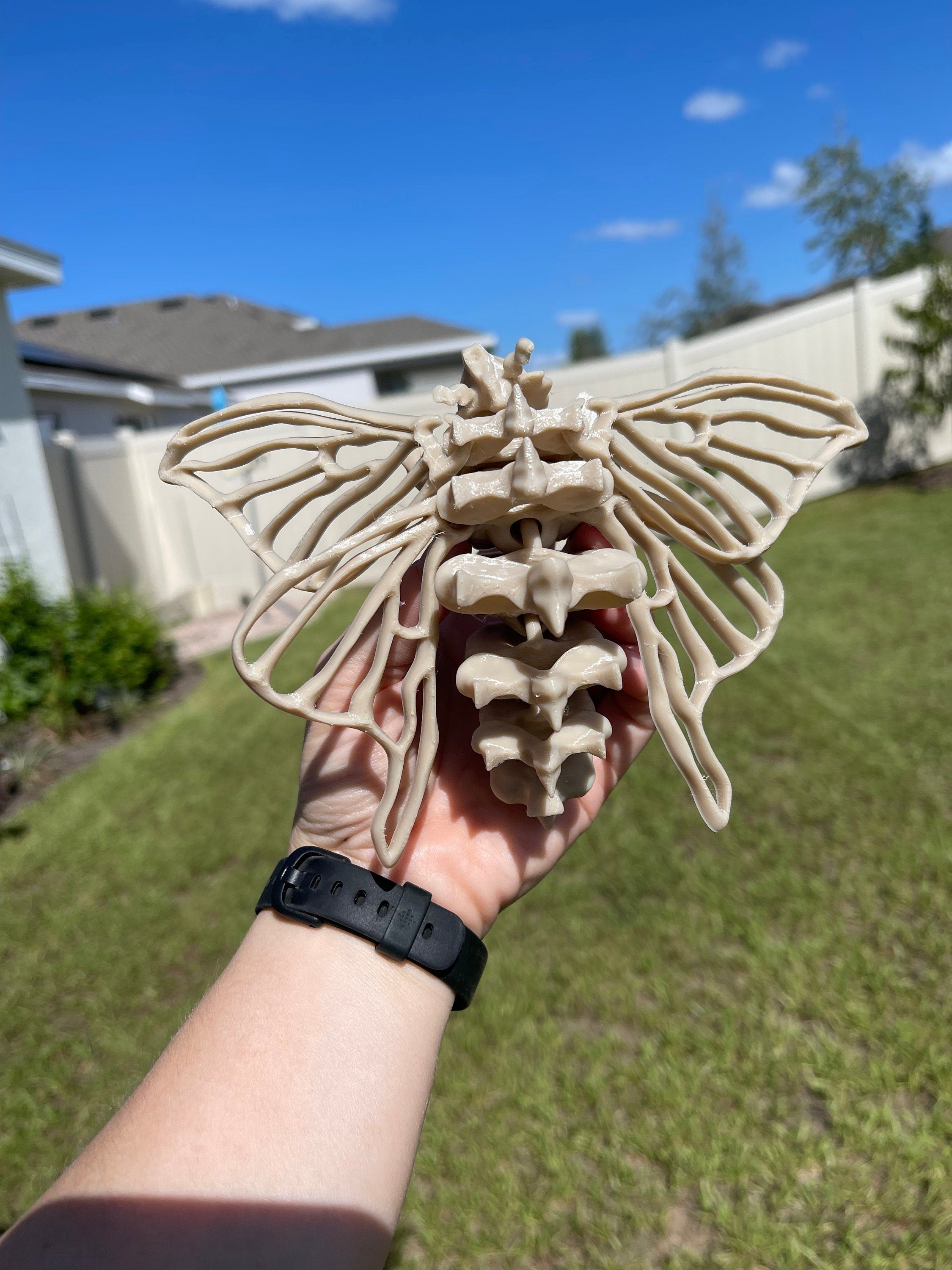Skeleton Moth 3D Printed Customizable Color Bone Moth Halloween Gift Idea spooky desk decor-Create Fantasy Crafts