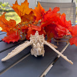 Skeleton Moth 3D Printed Customizable Color Bone Moth Halloween Gift Idea spooky desk decor-Create Fantasy Crafts