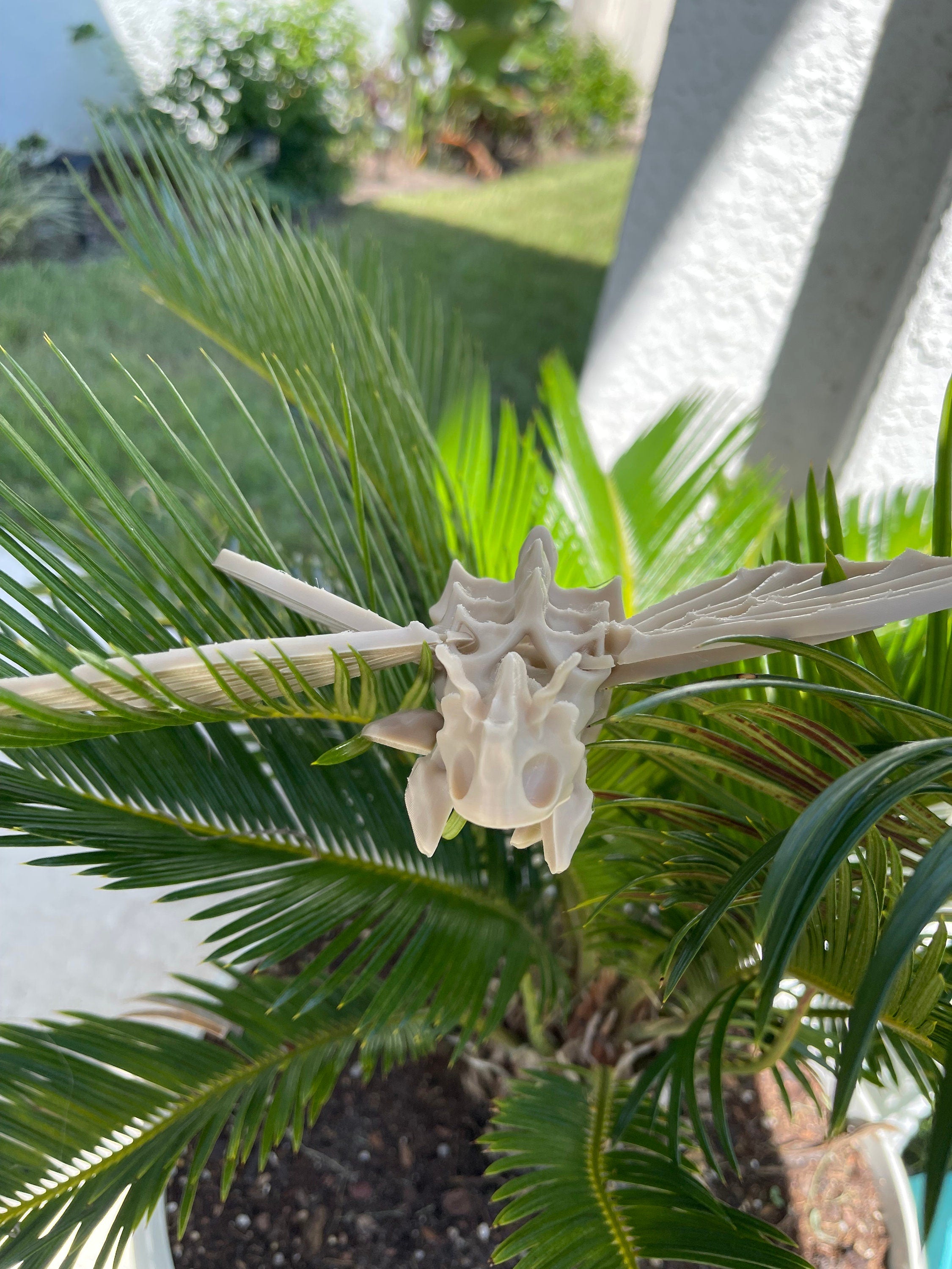 Skeleton Moth 3D Printed Customizable Color Bone Moth Halloween Gift Idea spooky desk decor-Create Fantasy Crafts