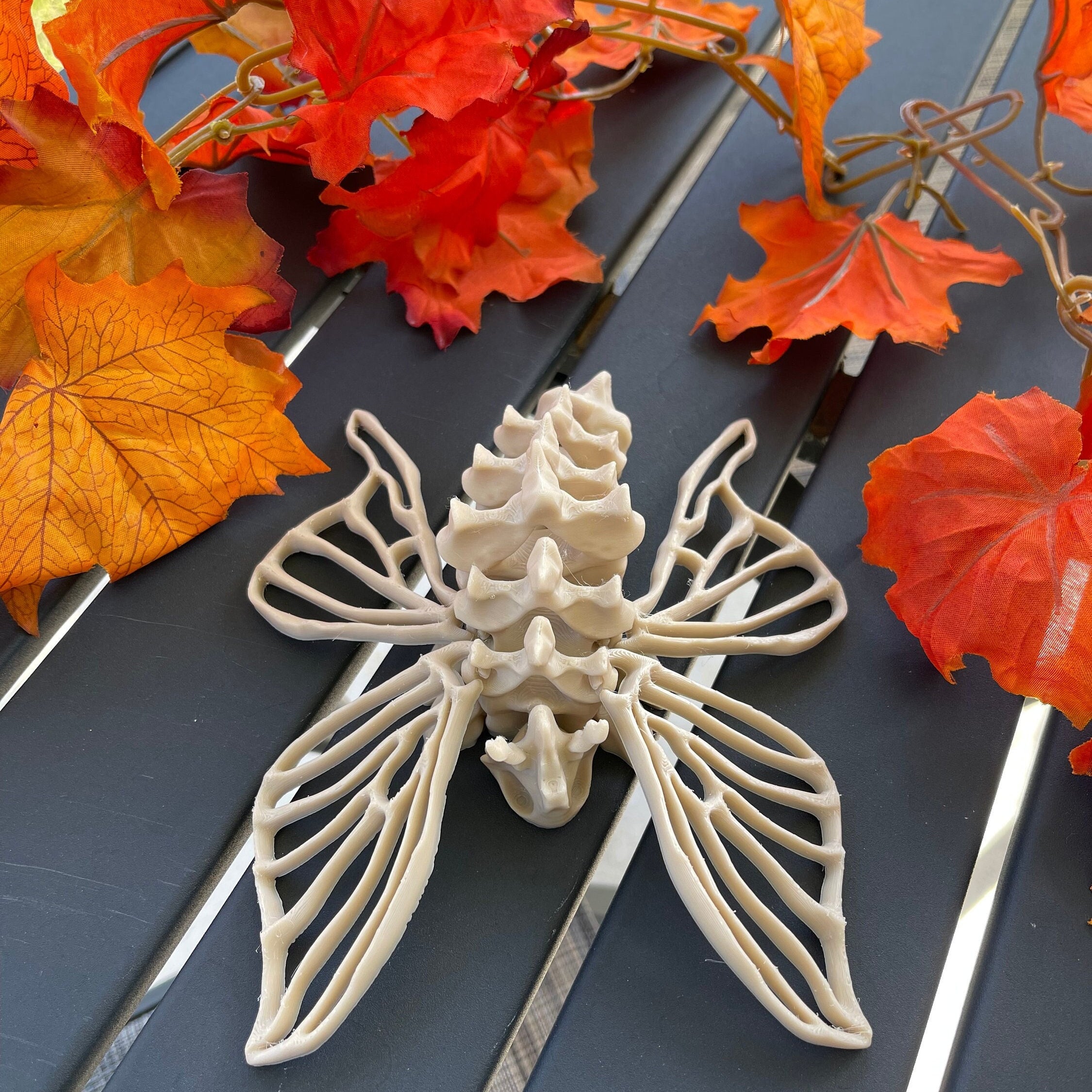 Skeleton Moth 3D Printed Customizable Color Bone Moth Halloween Gift Idea spooky desk decor-Create Fantasy Crafts