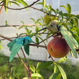 Small Hummingbird 3D Print Articulating Figure Home Decor Customizable Choose Color-Create Fantasy Crafts