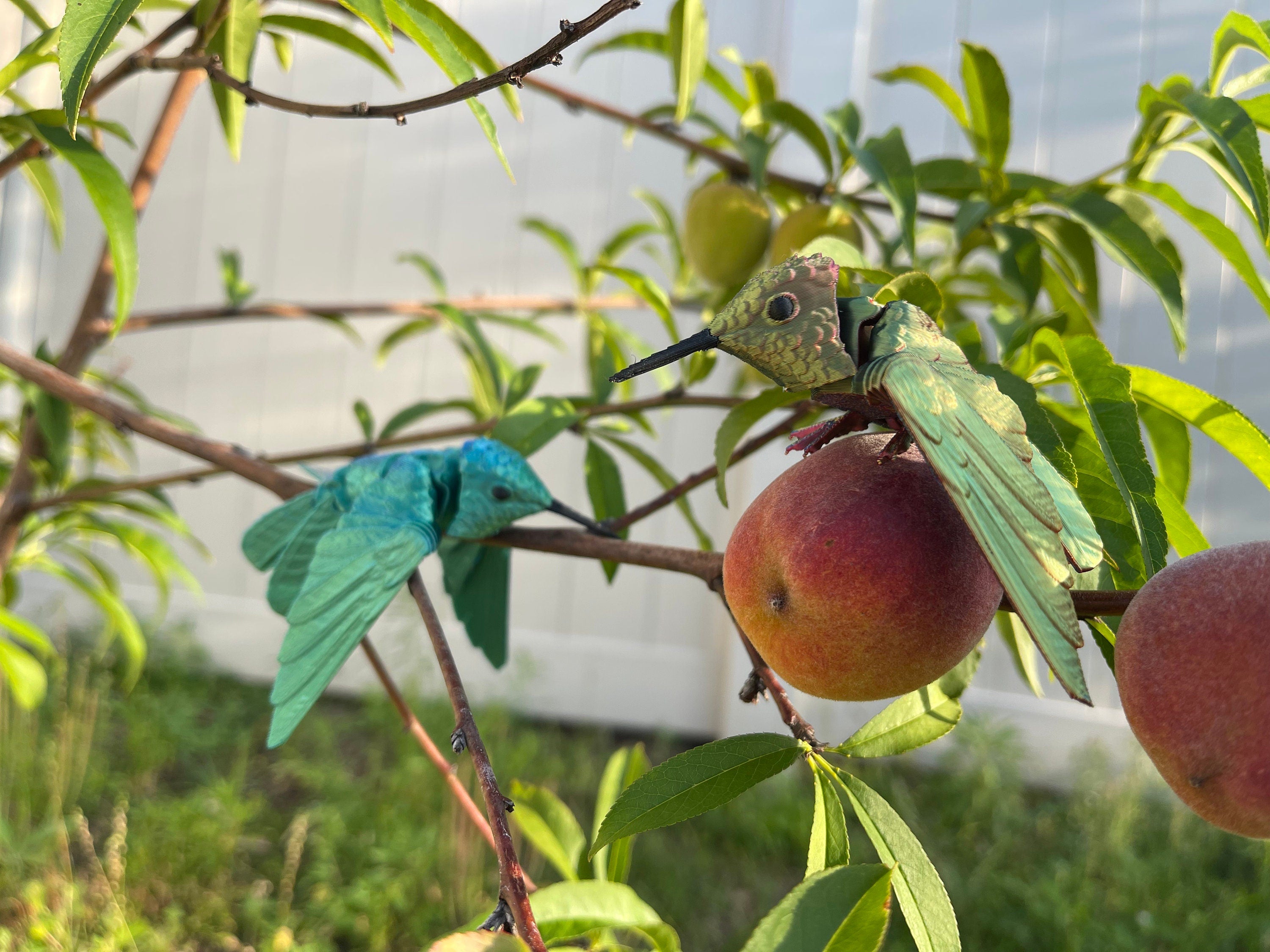 Small Hummingbird 3D Print Articulating Figure Home Decor Customizable Choose Color-Create Fantasy Crafts