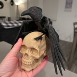 Raven 3D Print Customizable You Choose Color Stand Alone or with Skull to stand on-Create Fantasy Crafts