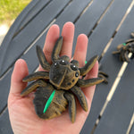 Spider - Articulating 3D Print-Create Fantasy Crafts