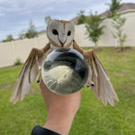 White Owl - Barn Owl - 3D Print Bookshelf Bookish Movie Decor-Create Fantasy Crafts