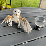White Owl - Barn Owl - 3D Print Bookshelf Bookish Movie Decor-Create Fantasy Crafts