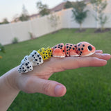 3D Print - Leopard Gecko - Gift Fidget Toy Decor-Create Fantasy Crafts
