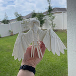 White Owl - Barn Owl - 3D Print Bookshelf Bookish Movie Decor-Create Fantasy Crafts