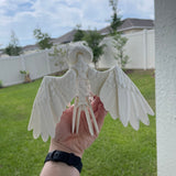 White Owl - Barn Owl - 3D Print Bookshelf Bookish Movie Decor-Create Fantasy Crafts