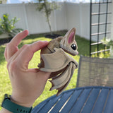 3D Print Articulating Bat Customizable Choose your own Color Bookself Decor Fidget Toy Gift-Create Fantasy Crafts