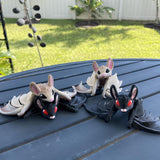 3D Print Articulating Bat Customizable Choose your own Color Bookself Decor Fidget Toy Gift-Create Fantasy Crafts