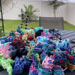 Mystery Surprise - Cute Mini Kosha Axolotl Flower Dragon 3D Print-Create Fantasy Crafts