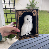 Snowy Owl or Snowy Owl Book Nook Choose Your Style 3D Printed Fantasy Book Shelf Decor-Create Fantasy Crafts