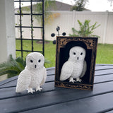 Snowy Owl or Snowy Owl Book Nook Choose Your Style 3D Printed Fantasy Book Shelf Decor-Create Fantasy Crafts