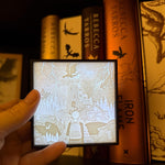 Dragon Rider - Luminescent Photo Art Light Box 3d Print Lithophane Bookshelf Decor-Create Fantasy Crafts
