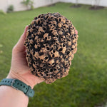 Skull of Skulls 3D Print Horror Decor Customizable Choose Color 3 Sizes-Create Fantasy Crafts