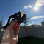 Black Seadevil Anglerfish - 3D Print - Desk Decor Horror Fidget Creepy Cute Glow in Dark-Create Fantasy Crafts
