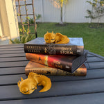 Little Sleepy Dragon Bookshelf Decor 3D Print Customizable-Create Fantasy Crafts