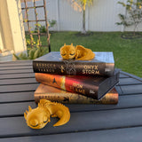Little Sleepy Dragon Bookshelf Decor 3D Print Customizable-Create Fantasy Crafts