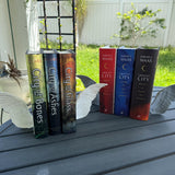 Angel Wing Book End Set 3D Printed Choose Color Fantasy Book Shelf Decor Book End-Create Fantasy Crafts