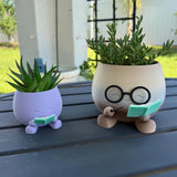 Cute Reading Planters Bookshelf Decor