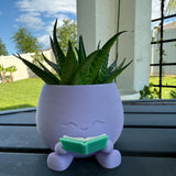 Cute Reading Planters Bookshelf Decor